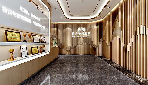 广州东明资产治理有限公司